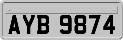 AYB9874