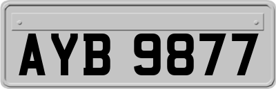 AYB9877