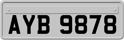 AYB9878