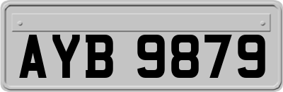 AYB9879