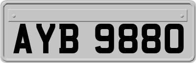 AYB9880