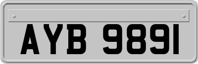 AYB9891