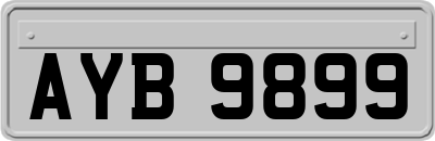 AYB9899