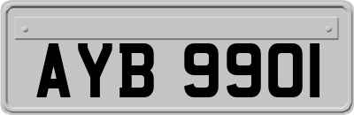 AYB9901