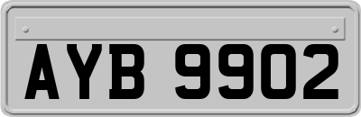 AYB9902
