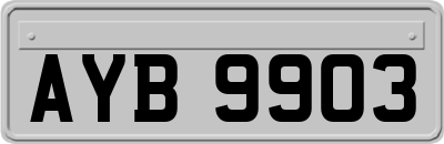AYB9903