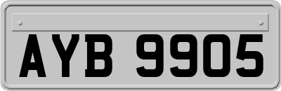 AYB9905