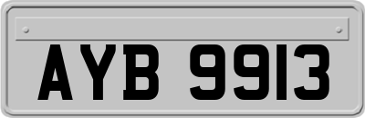 AYB9913