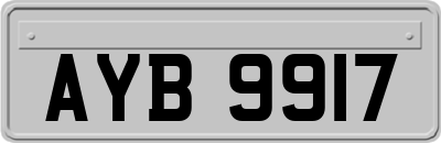 AYB9917