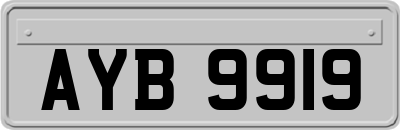 AYB9919