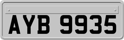 AYB9935