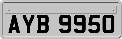 AYB9950