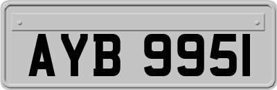 AYB9951