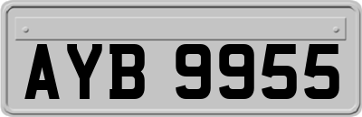 AYB9955