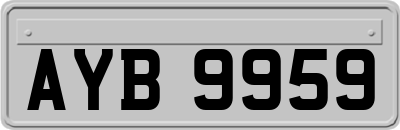 AYB9959