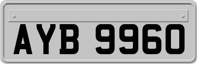 AYB9960