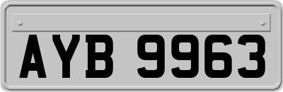 AYB9963