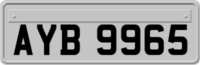 AYB9965