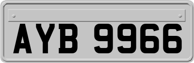 AYB9966
