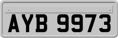 AYB9973