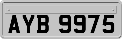 AYB9975