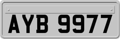 AYB9977