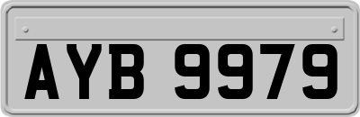 AYB9979