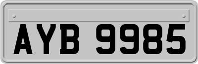 AYB9985