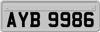 AYB9986