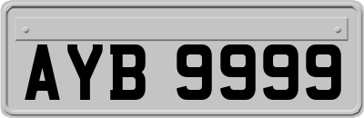 AYB9999