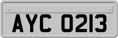 AYC0213