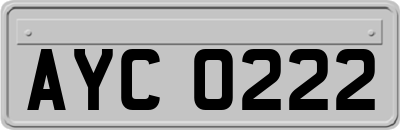 AYC0222