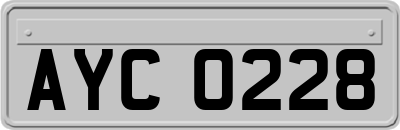 AYC0228
