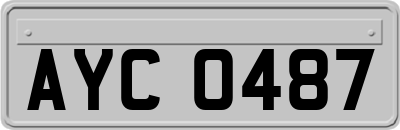 AYC0487