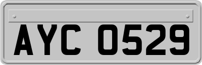 AYC0529
