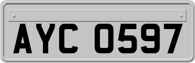 AYC0597