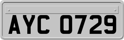AYC0729