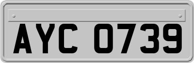 AYC0739