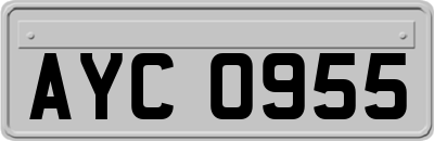 AYC0955