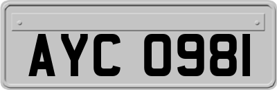 AYC0981