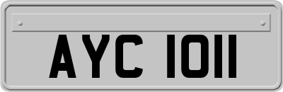 AYC1011