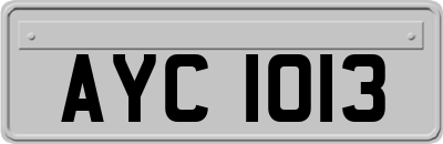 AYC1013