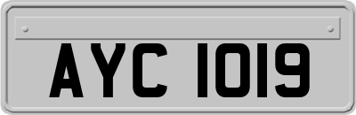 AYC1019