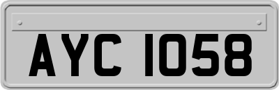 AYC1058
