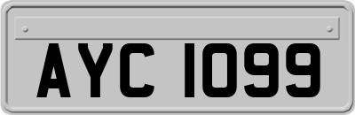 AYC1099