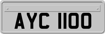 AYC1100