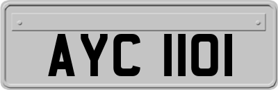 AYC1101