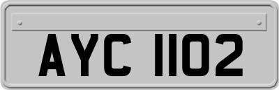 AYC1102