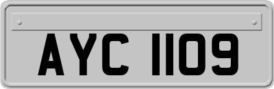 AYC1109