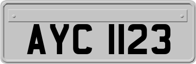 AYC1123